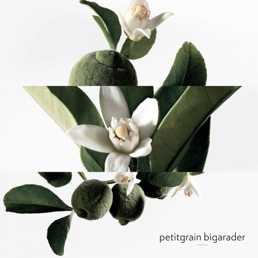 Product Eau De Néroli Doré Eau De Cologne 100ml base image