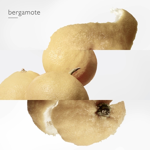 Product Le Jardin De Monsieur Li Eau De Toilette 50ml base image