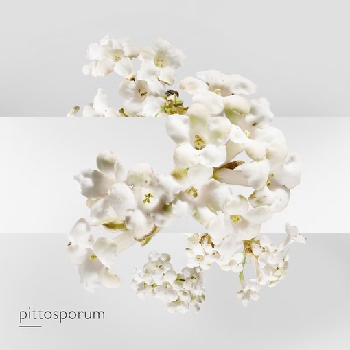 Product Un Jardin Sur La Lagune Eau De Toilette 100ml base image