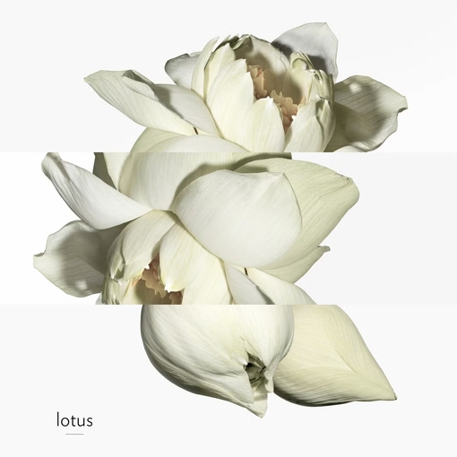 Product Un Jardin Sur Le Nil Eau De Toilette 50ml base image