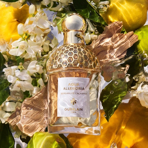 Product Aqua Allegoria Bergamote Calabria Eau De Toilette 75ml base image