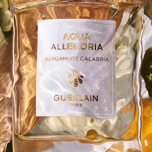 Product Aqua Allegoria Bergamote Calabria Eau De Toilette 75ml base image