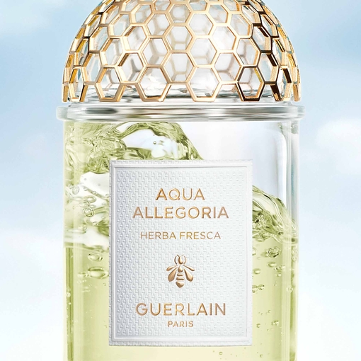 Product Aqua Allegoria Herba Fresca Eau De Toilette 75ml base image
