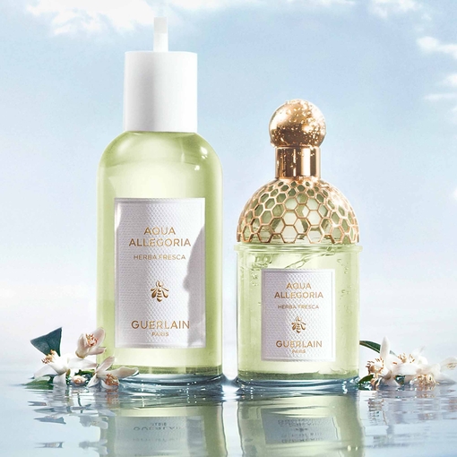 Product Aqua Allegoria Herba Fresca Eau De Toilette 75ml base image