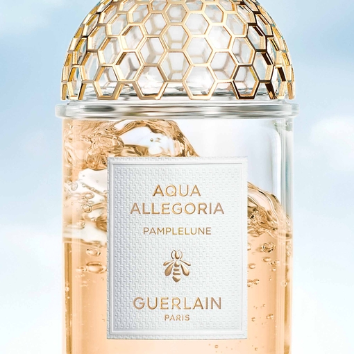 Product Aqua Allegoria Pamplelune Eau De Toilette 75ml base image