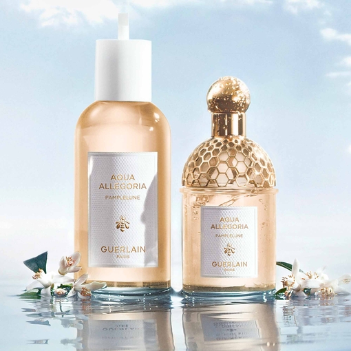 Product Aqua Allegoria Pamplelune Eau De Toilette 75ml base image