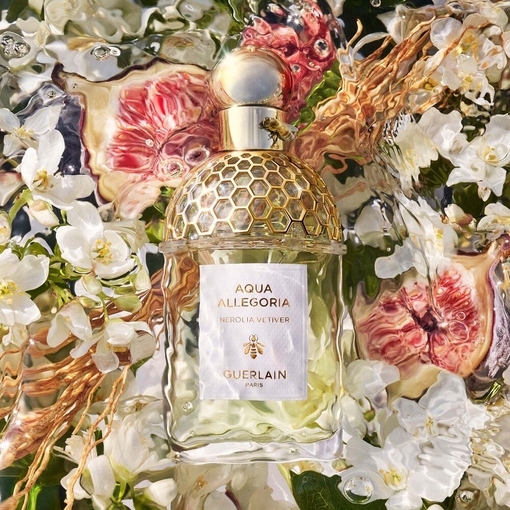Product Aqua Allegoria Nerolia Vetiver Eau De Toilette 75ml base image