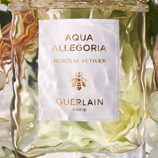 Product Aqua Allegoria Nerolia Vetiver Eau De Toilette 75ml base image