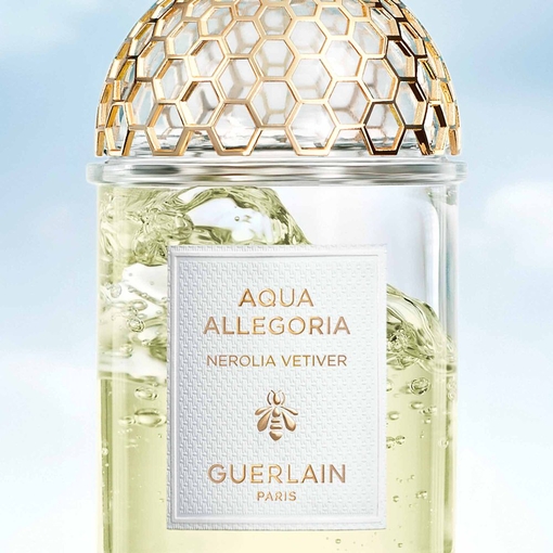 Product Aqua Allegoria Nerolia Vetiver Eau De Toilette 75ml base image