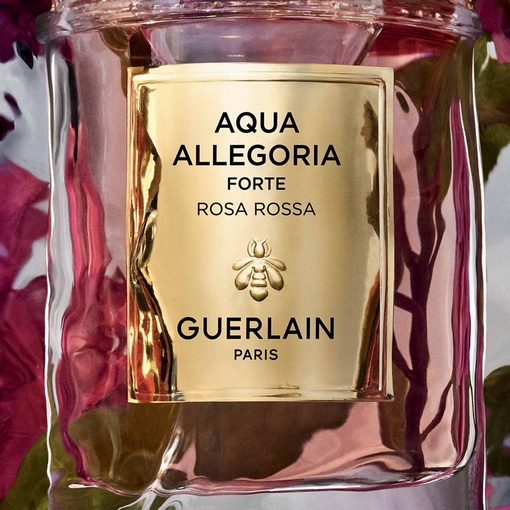 Product Aqua Allegoria Rosa Rossa Forte Eau De Parfum 75ml base image