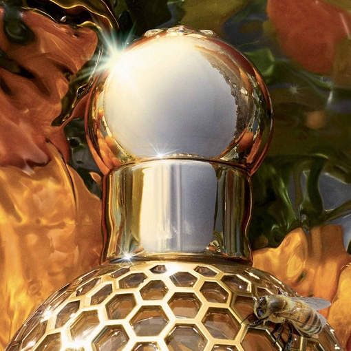 Product Aqua Allegoria Mandarine Basilic Forte Eau De Parfum 75ml base image