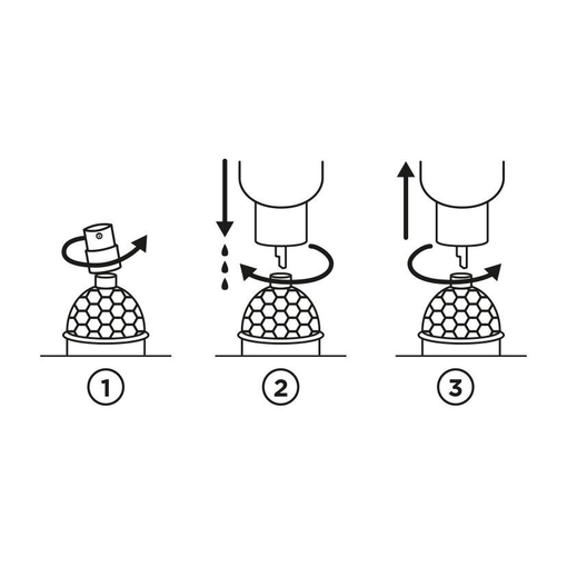 Product Aqua Allegoria Rosa Rossa Forte Eau De Parfum Refill 200ml base image