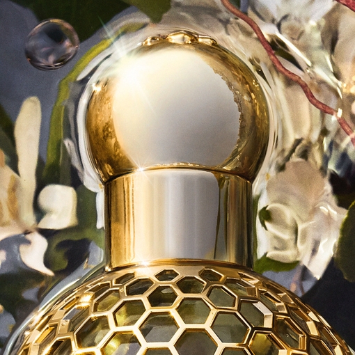 Product Aqua Allegoria Nerolia Vetiver Forte Eau De Parfum 125ml base image