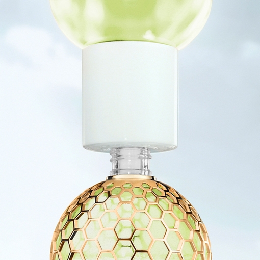 Product Aqua Allegoria Nerolia Vetiver Forte Eau De Parfum 75ml base image