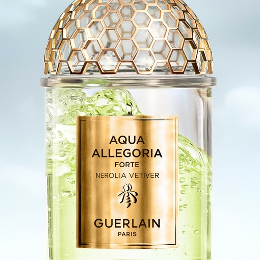 Product Aqua Allegoria Nerolia Vetiver Forte Eau De Parfum 75ml base image