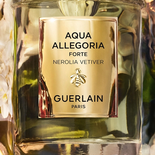 Product Aqua Allegoria Nerolia Vetiver Forte Eau De Parfum 75ml base image