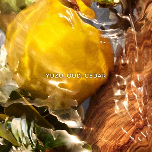 Product Aqua Allegoria Oud Yuzu Forte Eau De Parfum 75ml base image