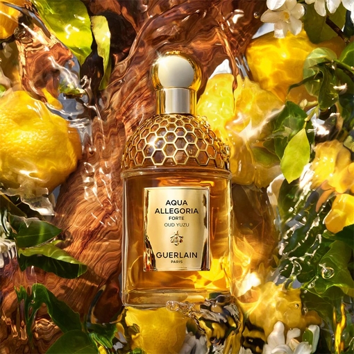 Product Aqua Allegoria Oud Yuzu Forte Eau De Parfum 75ml base image