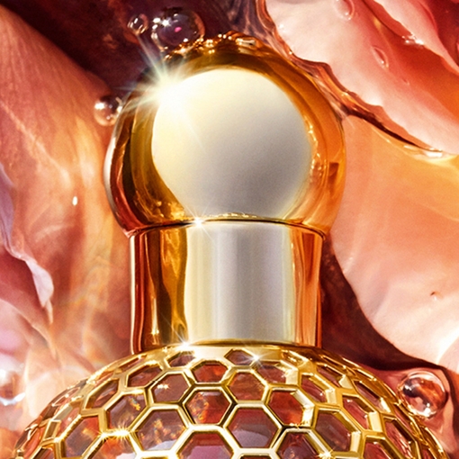 Product Aqua Allegoria Rosa Palissandro Forte Eau De Parfum 75ml base image