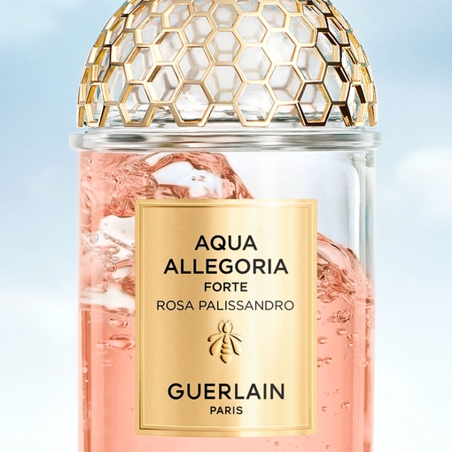 Product Aqua Allegoria Rosa Palissandro Forte Eau De Parfum 75ml base image