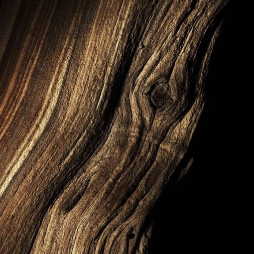 Product Absolus Allegoria Oud Essentiel Eau De Parfum 125ml base image