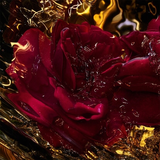 Product Absolus Allegoria Rose Amira Hair Mist 40ml base image