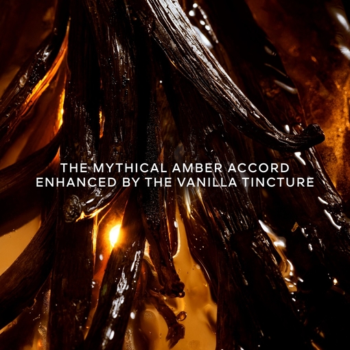 Product Shalimar L'Essence Eau De Parfum Intense 50ml base image