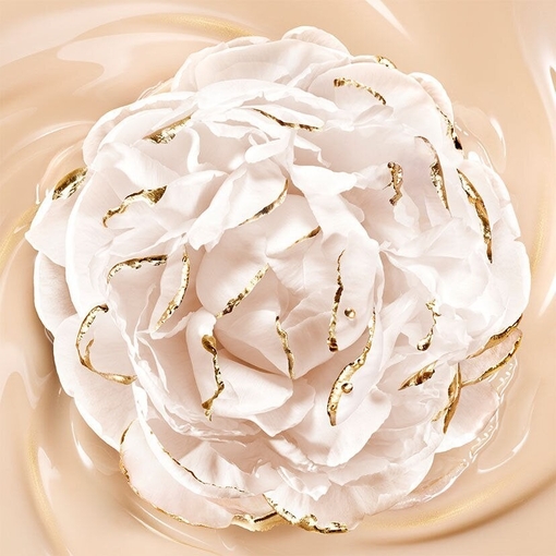 Product Parure Gold Skin Control - High Perfection Matte Compact Foundation - Refillable 8.7g base image