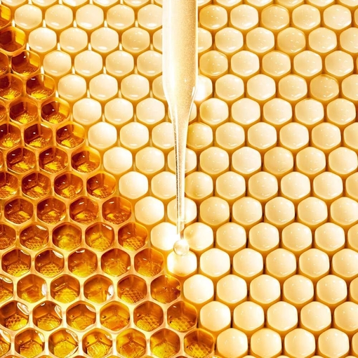 Product Abeille Royale Scalp & Hair Youth Oil-In-Serum 50ml base image