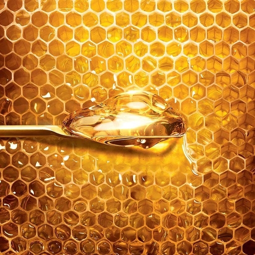Product Abeille Royale Honey Treatment Rich Cream - Refillable 50ml base image
