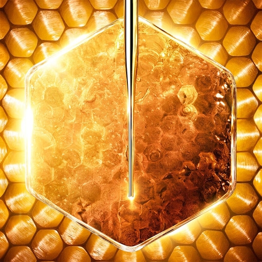 Product Abeille Royale Age-Defying Programme Honey Treatment Day Cream Set base image