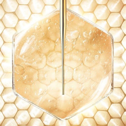 Product Abeille Royale Age-Defying Programme Honey Treatment Day Cream Set base image