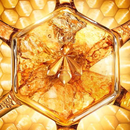 Product Abeille Royale Age-Defying Programme Honey Treatment Day Cream Set base image