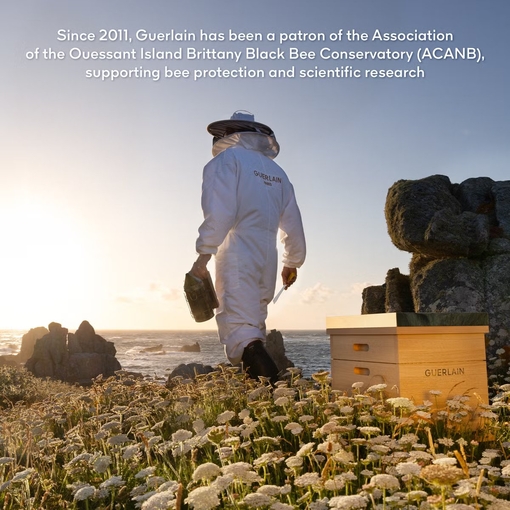 Product Abeille Royale Honey Bond Treatment Repairing & Protecting Leave-In 150ml base image