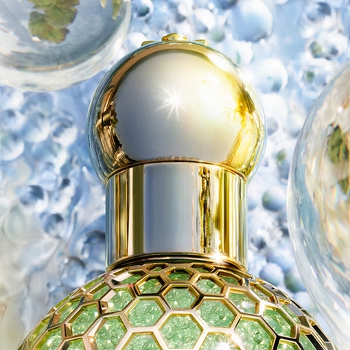 Product Aqua Allegoria Perle Nerolia Vetiver Eau De Parfum - Limited Edition 125ml base image