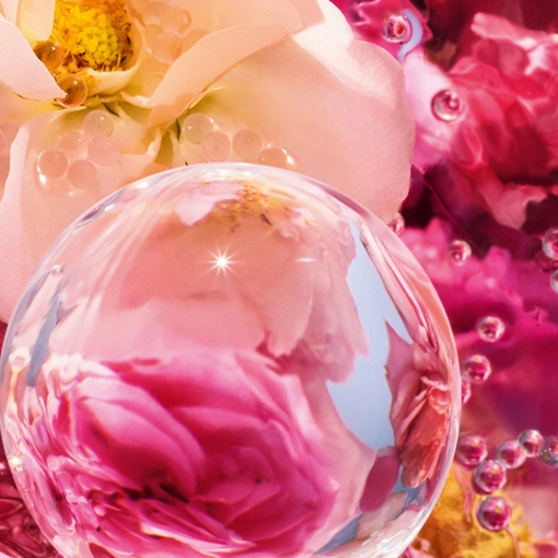 Product Aqua Allegoria Perle Rosa Rossa Eau De Parfum - Limited Edition 125ml base image