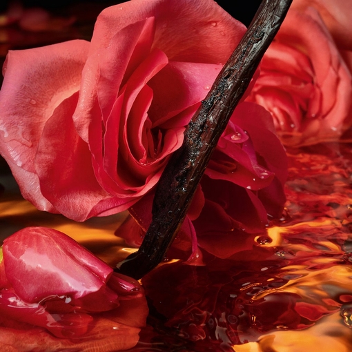 Product Shalimar Millésime Rose Eau De Parfum - Limited Edition 50ml base image