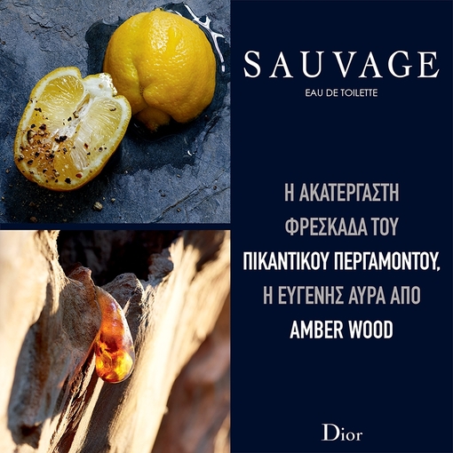 Product Sauvage Eau De Toilette Refillable 100ml base image