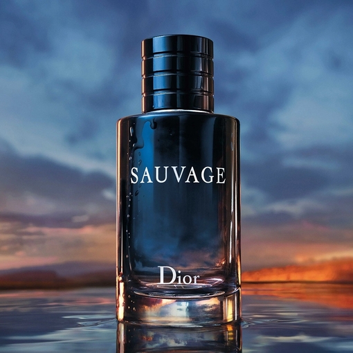 Product Sauvage Eau De Toilette Refillable 100ml base image