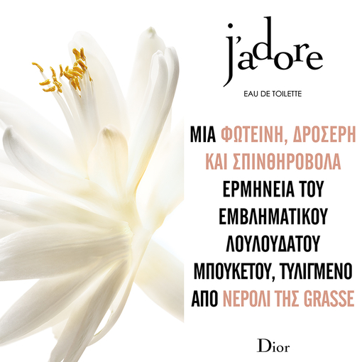 Product J' Adore Eau De Toilette 100ml base image
