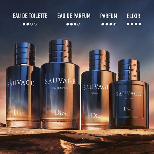 Product Christian Dior Sauvage Eau de Parfum Spray 100ml base image