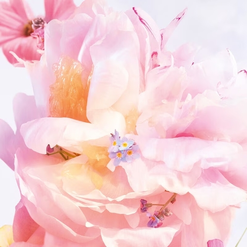 Product Miss Dior Blooming Bouquet Roller Pearl Eau De Toilette 20ml base image