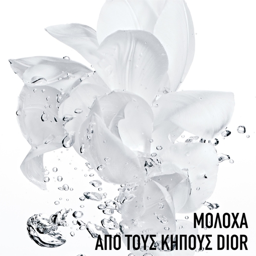 Product Hydra Life Intense Sorbet Creme 50ml base image