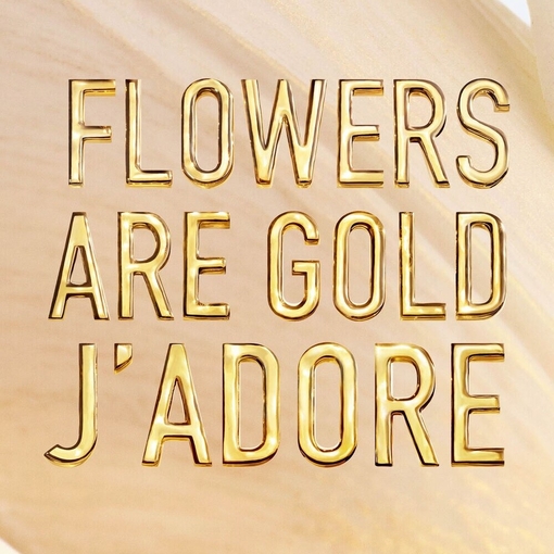 Product J' Adore L' Or Essence De Parfum 80ml base image