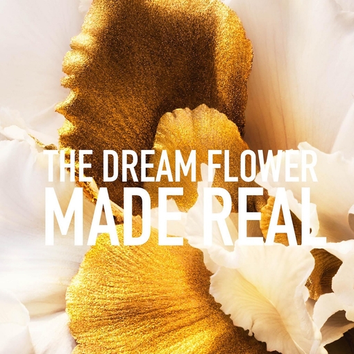 Product J’ Adore Eau De Parfum 2025 50ml base image