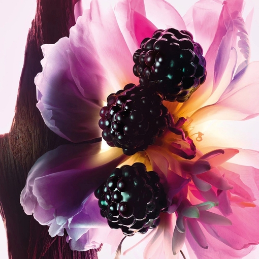 Product Miss Dior Essence De Parfum 35ml base image