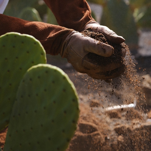 Product Sauvage Hydrating Shampoo 250ml base image