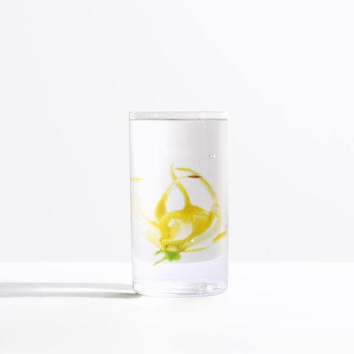 Product Paco Rabanne Pure XS For Her Eau de Parfum 30ml base image