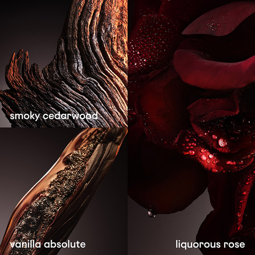 Product 1 Million Elixir Parfum Intense 100ml base image