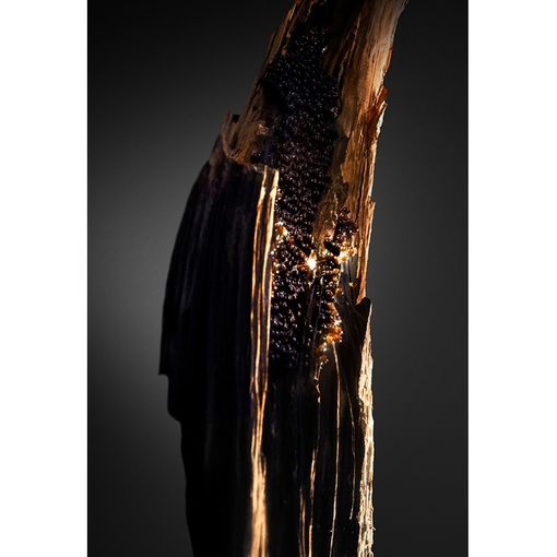 Product Olympéa Absolu Parfum Intense 50ml base image